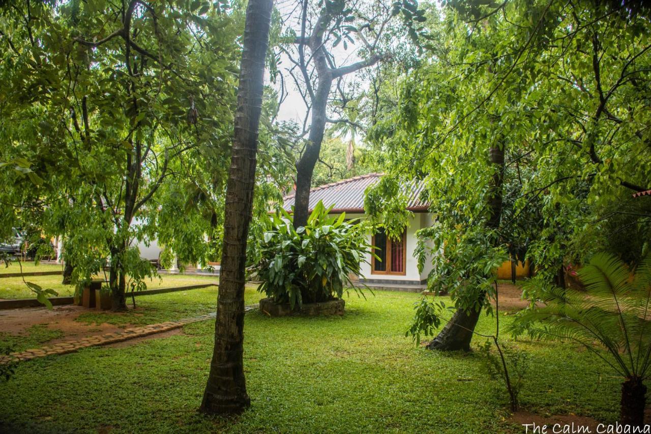 The Calm Cabana Dambulla Exteriör bild