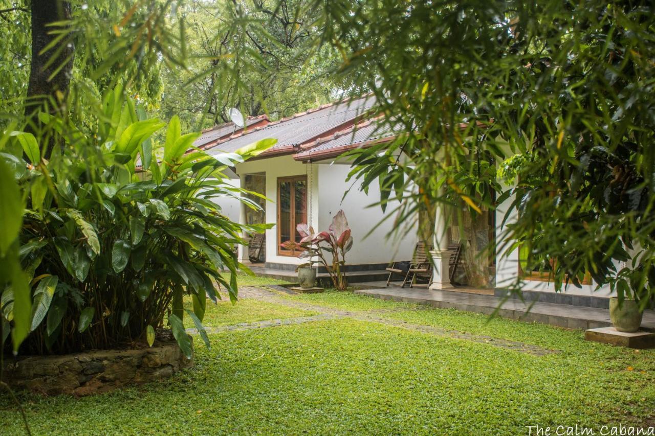 The Calm Cabana Dambulla Exteriör bild