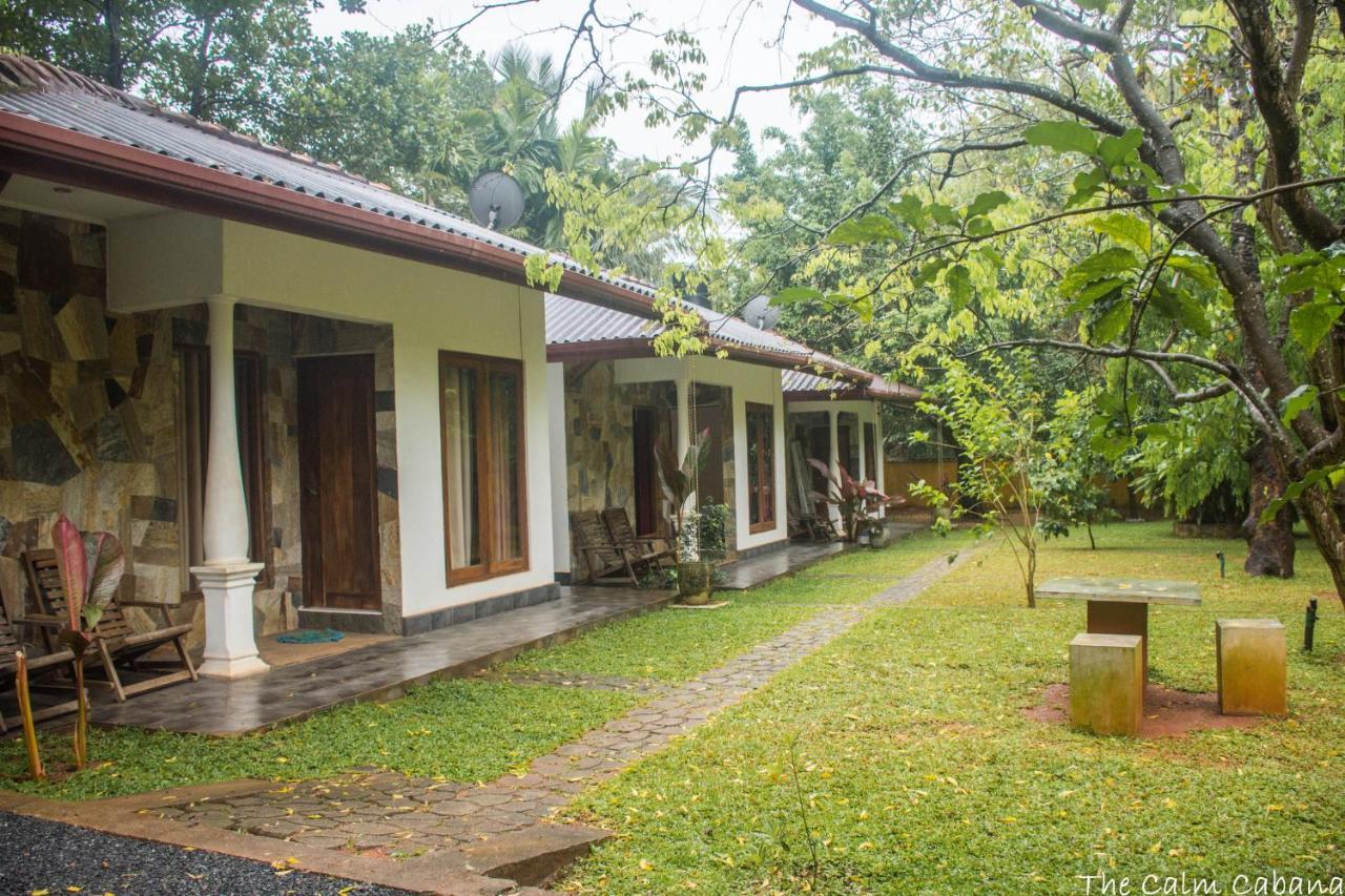 The Calm Cabana Dambulla Exteriör bild