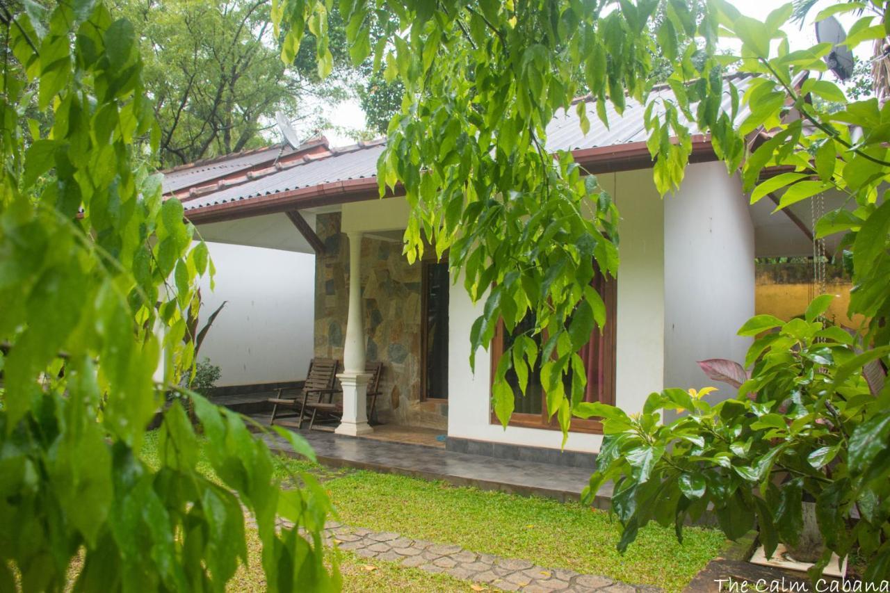The Calm Cabana Dambulla Exteriör bild
