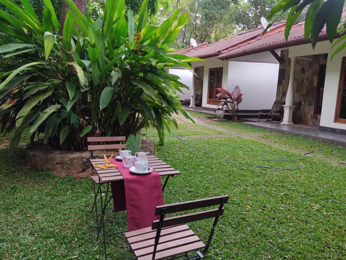 The Calm Cabana Dambulla Exteriör bild